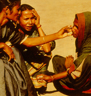 Photos of Field Work